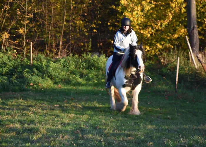 U Soni Semesterbostad